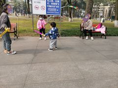 -重庆市江北嘴中央商务区中央公园