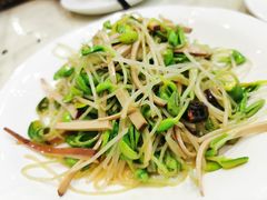 香椿苗黑豆腐丝-大鸭梨烤鸭店(金顶街店)