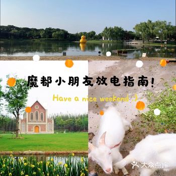魔都带娃放电好去处：佘山茂御开心农场—人少～方便～
