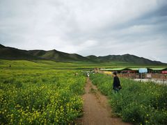 -扁都口生态休闲旅游区