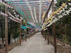 -江天生态园餐厅