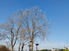 -相门城墙文化休闲景区