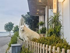 -大理洱海