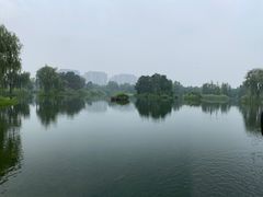 -白鹭湾湿地公园