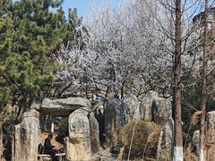 -前关湿地公园