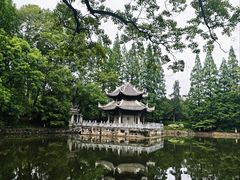 -习家池