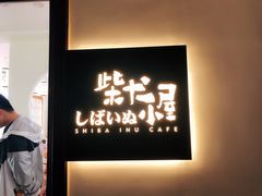 门面-柴犬小屋·柴餐厅·狗咖食堂(金鼎广场店)