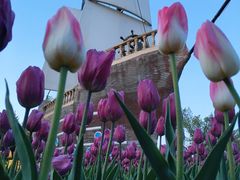 -长春公园(普阳街道)