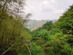 -藏龙百瀑风景区