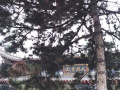 -北山公园