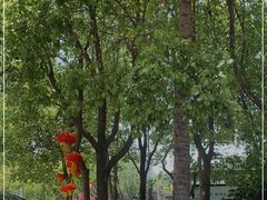 -宜兴张公洞