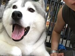 -TrueLove @ Neverland (Husky Cafe)