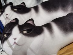 -猫咪博物馆(顶澳仔猫街店)