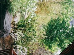 -中国中医科学院望京医院(院本部)