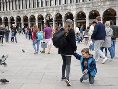 -圣马尔谷圣殿宗主教座堂