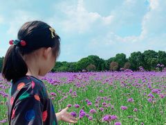 -山明水秀大饭店