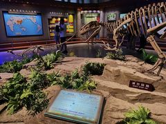 -自贡恐龙博物馆