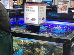 水产区-盒马鲜生(岭南新世界店)
