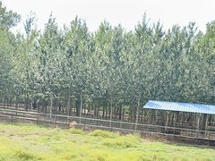-秦皇岛野生动物园