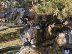 -洛阳古墓博物馆