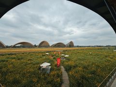 -中国天府农业博览园