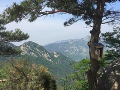 -沂蒙山旅游区云蒙景区(蒙山国家森林公园)