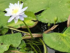 -云溪植物园