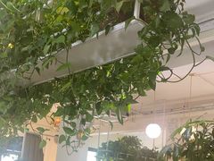 -岳姥姥饺子(泺文路店)