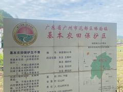-红山村