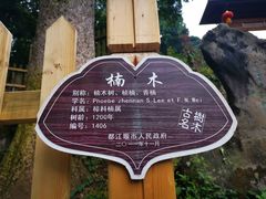 -都江堰普照寺