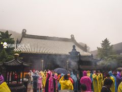 -普陀山风景区-佛顶山