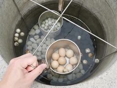 -凤翔首邑温泉度假村