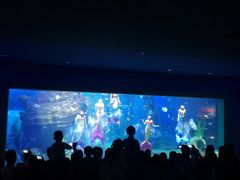 -多彩贵州城极地海洋世界