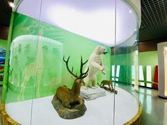 -国家自然博物馆