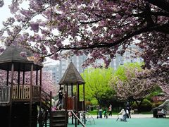 -唐城墙遗址公园