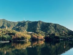 -深圳仙湖植物园