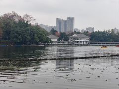 -荔湾湖公园