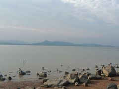 -深圳湾公园(南山区)