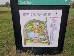 -雪枫公园