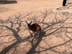 -济南野生动物世界