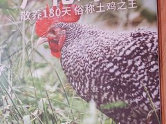 -俭寨大盘鸡·缸子肉·小公鸡·新疆菜(云通店)