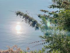 -福建鲤鱼洲酒店