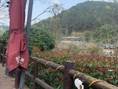 -楠柏弯休闲山庄(梨花溪店)