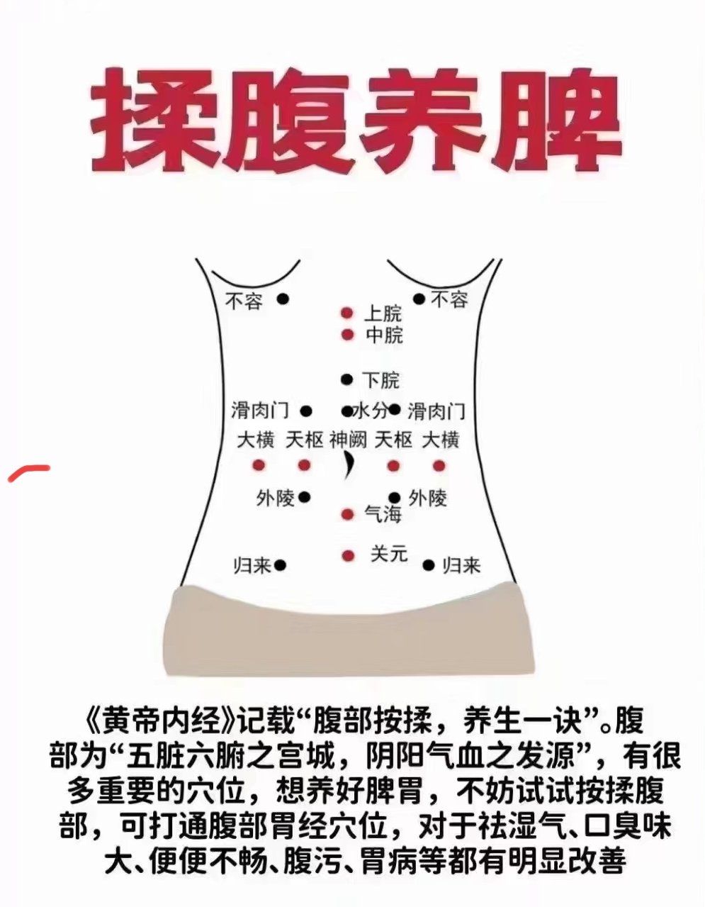 健康养生,别小看揉腹
腹部是我们身体