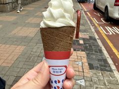 -富豪雪糕车流动点(尖沙咀店)