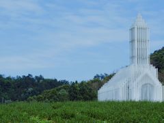-紫颐香薰山谷景区