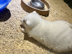 -绿色星球动物主题公园