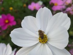 -钟山体育运动公园