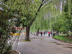 -丰台花园