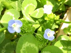 android_upload_pic-昆山城市生态森林公园